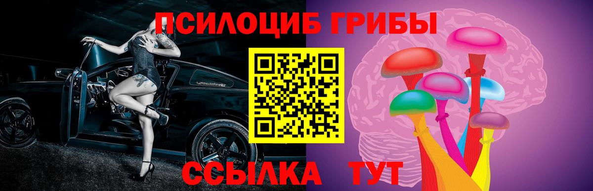 Псилоцибиновые грибы GOLDEN TEACHER  Галлюциногенные грибы MAGIC MUSHROOMS  Вход с VPN  магазин    Орехово-Зуево 